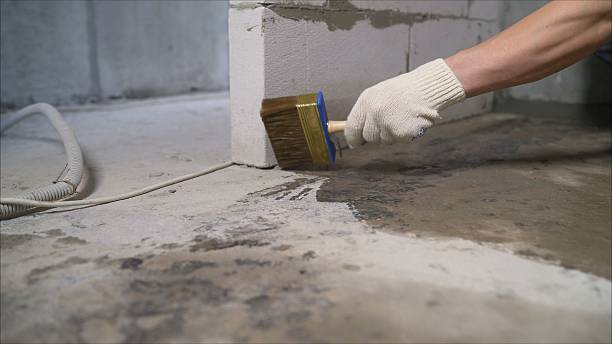 24/7 Emergency Waterproofing experts in Charleston, SC